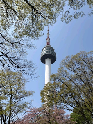 The perfect way to explore the iconic Namsan area in Seoul!