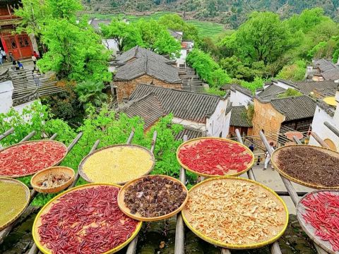 まるで現実の中国山水画——美しさと文化が息づく風景。 | Trip.com 婺源