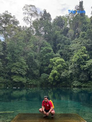 An Epic Journey: Meeting Whale Sharks and Discovering Hidden Gems in Berau