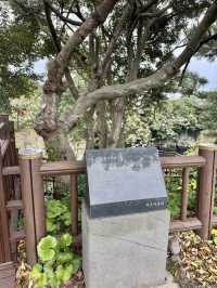 [제주 쇠소깍] 에메랄드빛 물길을 따라 걷는 제주 산책