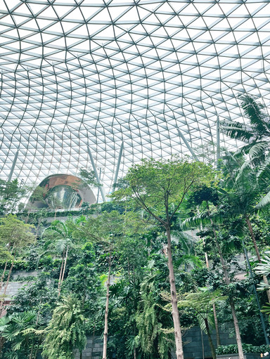ジュエル・チャンギ空港 – カラフルなレゴの「ブルーム」が彩る壮大な