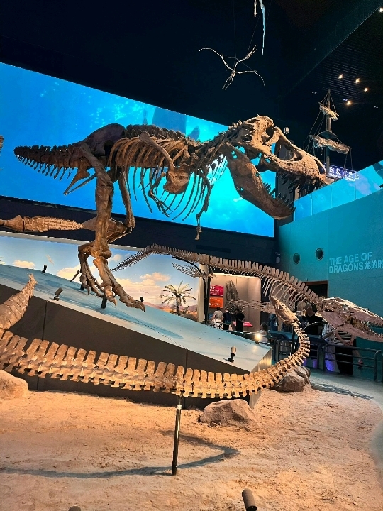 Museum Maritim Nasional | Temukan Keajaiban Samudra