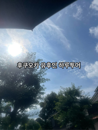 고즈넉한 신사 산책부터 유후인 길거리 먹방까지 완벽했던 하루 🎋🍡