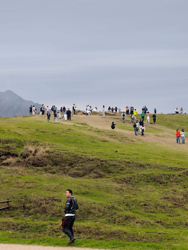 Discover Kyushu’s Best Natural Gem – Mount Aso & New Kusasenri