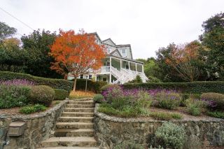 [Hidden Gems near SF · Mill Valley] The Bike Shop's Secret Spot! Pedaling into Old Mill Park's Fairytale Redwood Wonderland.