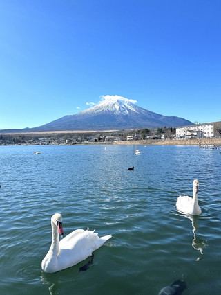 Mt. Fuji… 。