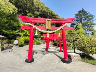 Visit the "Beppu Jigoku Meguri" (Hell's Nest) natural hot springs in Beppu.