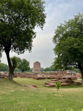 Sarnath — One of Buddhism’s Most Sacred Destinations 🪷