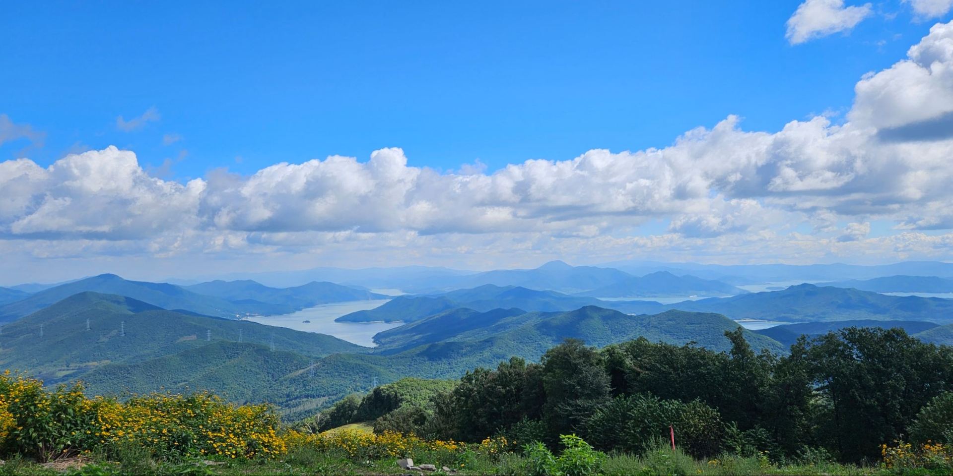 Jilin’s Songhua Lake: A Summer Hidden Gem! Wildflower Fields, Forests, and Premium Resorts.