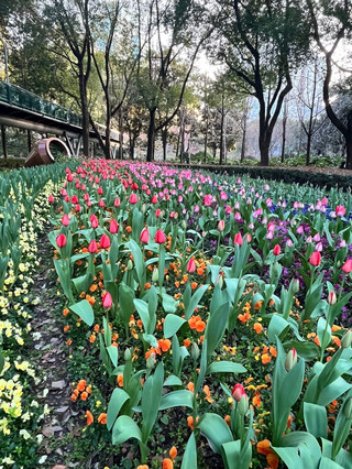 Xujiahui Park — Don’t Just Visit the Library and Leave