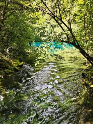 The Day I Missed the Bus in Jiuzhaigou