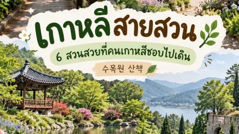 韓国の美しい庭園6選｜ただの撮影スポットじゃない、本当の癒やしを感じられる場所🌿 — traveler post in Sejong