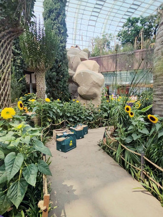 #tempatterbaikyangdiremehkan

Golden Garden Singapura adalah tempat yang sangat Instagramable ✨! Terletak tepat di 211 Marina Way, tempat ini buka hampir sepanjang hari (pukul 5 pagi hingga 2 pagi), sehingga sangat mudah untuk dimasukkan ke dalam rencana perjalanan apa pun 🌴.

Tempat Terbaik untuk Dikunjungi: Golden Garden
Jika Anda mencari ruang hijau yang tenang namun mempesona yang dikelilingi oleh pemandangan gedung pencakar langit yang menakjubkan, Golden Garden adalah tempatnya. Tempat ini merupakan bagian dari Gardens by the Bay yang ikonik dan semakin indah saat matahari terbenam, dengan Supertree yang menyala seperti sesuatu yang langsung keluar dari film fiksi ilmiah.

Tips Praktis:
Kunjungi sangat pagi (bayangkan suasana matahari terbit) atau larut malam (untuk pertunjukan cahaya Supertree) — saat itulah keramaian berkurang dan kesempatan berfoto paling banyak. Karena buka hingga pukul 2 pagi, kunjungan malam menawarkan pengalaman magis dan semi-kosong yang akan Anda sukai! Plus, berjalan-jalan di sana gratis, jadi dompet Anda akan berterima kasih. Kenakan sepatu yang nyaman dan bawa botol air isi ulang; Terdapat banyak stasiun air di mana-mana.

Cara Berkeliling:
Naik MRT ke stasiun Bayfront. Dari sana, hanya perlu berjalan kaki sebentar ke Golden Garden. Jika Anda ingin memaksimalkan hari Anda, unduh peta kota Singapura dari trip.com — peta ini akan membantu Anda tetap berada di jalur yang benar tanpa menghabiskan data roaming Anda.

Rekomendasi Makanan:
Nikmati hidangan di Satay by the Bay (sekitar 10 menit berjalan kaki). Cobalah laksa atau ikan pari bakar — cita rasa lokal yang luar biasa!

Tips Utama Destinasi:
Singapura ramah terhadap pembayaran non-tunai, jadi sebagian besar tempat menerima kartu. Sebagian besar turis tidak memerlukan visa, tetapi periksa terlebih dahulu sebelum berangkat. Cuaca panas dan lembap sepanjang tahun; bawalah pakaian ringan.

#Singapura #GardenByTheBay #TipsPerjalanan #PengalamanSupertree