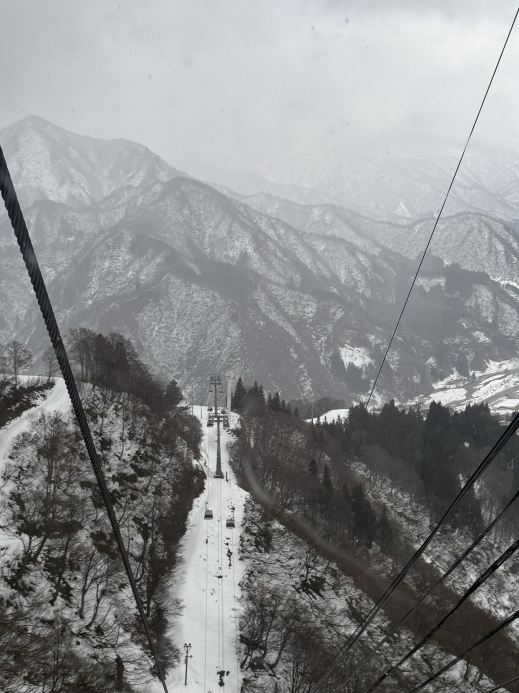 ❄️🏂 GALA Yuzawa, Japan 🇯🇵
ลานสกีสุดฮิตใกล้โตเกียว นั่งชินคันเซ็นไปเล่นหิมะแบบ One Day Trip ได้เลย! 😍☃️

ใครมีแพลนไปเที่ยวญี่ปุ่นช่วงหน้าหนาว แล้วอยากสัมผัสหิมะขาว ๆ แบบฟิน ๆ แนะนำให้ปักหมุดที่นี่ไว้เลย 📍 GALA Yuzawa Snow Resort (ガーラ湯沢) ลานสกีชื่อดังในจังหวัดนีงาตะ (Niigata) ที่เดินทางจากโตเกียวสะดวกมากกก ❄️💙

ที่นี่เต็มไปด้วยหิมะสีขาวปกคลุมภูเขา บรรยากาศสวยเหมือนอยู่ในหนังเลย 🏔️✨ ไม่ว่าจะเป็นสายสกี สโนว์บอร์ด หรือแค่อยากมาเล่นหิมะ ถ่ายรูปสวย ๆ ก็สนุกได้เหมือนกัน 🥰📸

🚄 การเดินทาง
จากโตเกียวสามารถนั่ง Joetsu Shinkansen จาก Tokyo Station ไปลงที่ GALA Yuzawa Station ได้โดยตรง ใช้เวลาประมาณ 75–90 นาที ขึ้นอยู่กับขบวนรถ
สะดวกมาก เพราะสถานีเชื่อมกับอาคารของสกีรีสอร์ตเลย ไม่ต้องเดินทางต่อหลายรอบ 🚄

📌 แนะนำให้เช็กรอบรถไฟก่อนเดินทาง เพราะขบวนที่วิ่งตรงไป GALA Yuzawa จะให้บริการตามฤดูกาล

🎫 ค่าเข้าชมและกิจกรรม
ที่นี่มีบัตรกระเช้าและแพ็กเกจกิจกรรมหลายแบบ สามารถเลือกซื้อได้ตามความต้องการ เช่น
🎿 บัตรลิฟต์สำหรับเล่นสกีหรือสโนว์บอร์ด
🧥 เช่าชุดกันหนาว อุปกรณ์สกี และสโนว์บอร์ด
🛷 กิจกรรมเล่นหิมะและเลื่อนหิมะในโซนที่เปิดให้บริการ
🚡 นั่งกระเช้าขึ้นไปชมวิวภูเขาหิมะ

ราคาจะแตกต่างกันตามช่วงเวลาและประเภทกิจกรรม แนะนำให้เช็กราคาและจองล่วงหน้าผ่านเว็บไซต์ทางการของ GALA Yuzawa นะ

📸 มาถึงแล้วทำอะไรดี?
✨ นั่งกระเช้าชมวิวภูเขาที่ปกคลุมด้วยหิมะขาวโพลน 🏔️
✨ เล่นหิมะ ถ่ายรูปสวย ๆ แบบจัดเต็ม ☃️
✨ ลองเล่นสกีหรือสโนว์บอร์ด ใครเป็นมือใหม่ก็สามารถสมัครเรียนได้ 🎿
✨ สนุกกับกิจกรรมเลื่อนหิมะในโซนที่จัดไว้ 🛷
✨ แวะพักทานอาหารหรือจิบเครื่องดื่มอุ่น ๆ หลังเล่นหิมะ ☕️

🌤️ ช่วงไหนน่าเที่ยว?
❄️ ธันวาคม–กุมภาพันธ์ : ช่วงฤดูหนาว หิมะสวย เหมาะกับการเล่นสกีและสัมผัสบรรยากาศหิมะ
☃️ มีนาคม–ต้นพฤษภาคม : บางปีลานสกียังเปิดให้บริการ สามารถเที่ยวและเล่นสกีช่วงฤดูใบไม้ผลิได้ ขึ้นอยู่กับปริมาณหิมะ

📌 วันเปิด–ปิดจริงของรีสอร์ตและแต่ละกิจกรรมอาจเปลี่ยนแปลงตามสภาพหิมะและอากาศ ควรตรวจสอบก่อนเดินทางทุกครั้ง

💡 ทริคเล็ก ๆ
แนะนำให้ออกจากโตเกียวแต่เช้า และเผื่อเวลาเที่ยวประมาณ 4–6 ชั่วโมง จะได้เล่นหิมะและถ่ายรูปแบบไม่รีบ 📸

อย่าลืมเตรียมถุงมือกันน้ำ เสื้อกันหนาว ถุงเท้าหนา ๆ และรองเท้าที่เหมาะกับหิมะมาด้วยนะ 🧤🧣 เพราะอากาศหนาวมาก และพื้นบางจุดอาจลื่นได้

สำหรับใครที่ไม่ได้เล่นสกี แนะนำให้เช็กแพ็กเกจสำหรับนักท่องเที่ยวและโซนเล่นหิมะก่อนซื้อบัตร จะได้เลือกให้ตรงกับกิจกรรมที่อยากทำ 💙

📍 ชื่อสำหรับค้นหาใน Google Maps
GALA Yuzawa Snow Resort

💙 ใครอยากเห็นหิมะสวย ๆ แบบไม่ต้องเดินทางไกลจากโตเกียว GALA Yuzawa เป็นอีกหนึ่งที่ที่ไม่ควรพลาด! ไม่จำเป็นต้องเล่นสกีเป็นก็มาสนุกกับหิมะได้ แถมยังได้รูปสวย ๆ กลับไปเพียบ 🥹❄️

เป็นอีกหนึ่งทริปหน้าหนาวที่ทั้งสนุก เดินทางง่าย และเหมาะกับคนที่อยากลองสัมผัสหิมะที่ญี่ปุ่นสักครั้งเลยค่ะ 🥰🇯🇵

#galayuzawa #เที่ยวญี่ปุ่นหน้าหนาวว #เที่ยวญี่ปุ่นด้วยตัวเองเอง #รีวิวเที่ยวญี่ปุ่น
