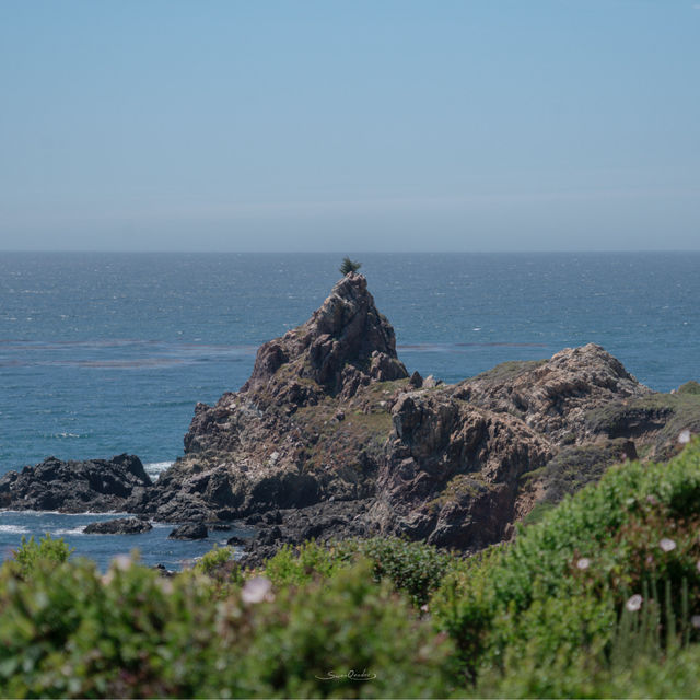 The Longest Scenic Coastline in US @ Big Sur