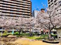 難波中公園