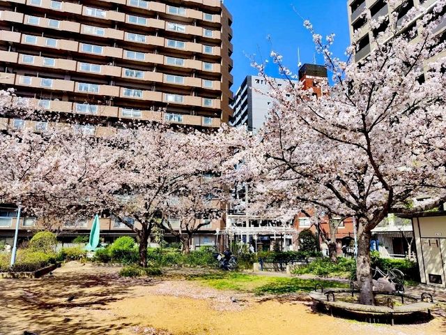 難波中公園