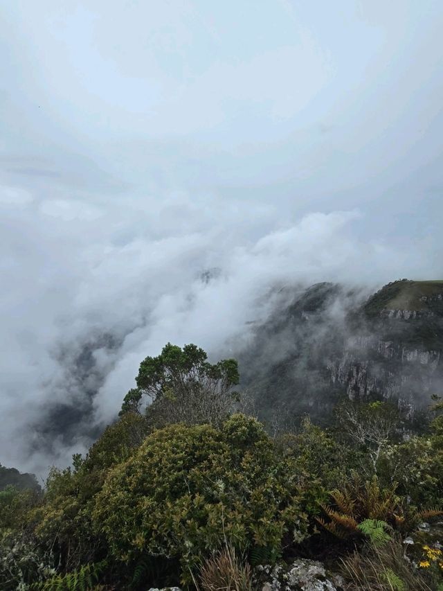 Urubici - A Road between Clouds and Curves to Heaven