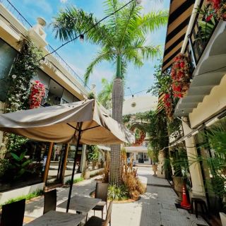 🍽️✨ One of the Best Food Areas in Asunción: Paseo Vía Allegra