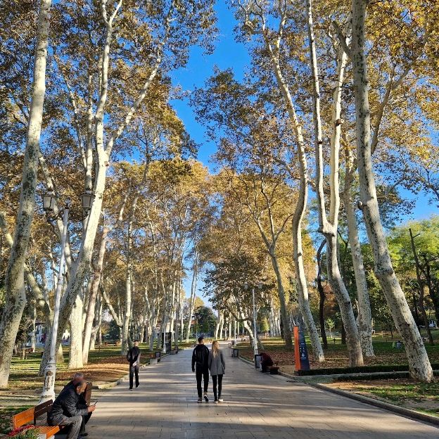 🌳🌸 Exploring the Serene Beauty: Gulhane Park 🌸🌳


