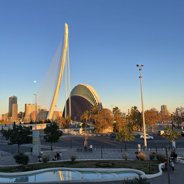 Beautiful Christmas in Valencia 🇪🇸