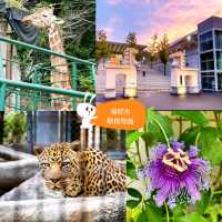 🦒福岡市動植物園🐆歷史悠久的巿中心動物園🐻