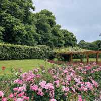 St. Anne’s Park-Dublin