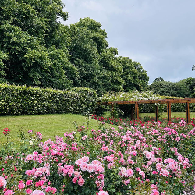 St. Anne’s Park-Dublin