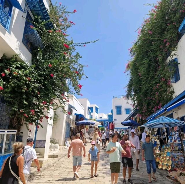 Beautiful Sidi Bou Said