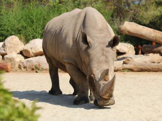 Montpellier Zoological Park was great 🇫🇷