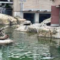 The Maryland Zoo in Baltimore 🇺🇸