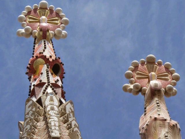 BCN calling
