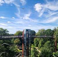 Walk Among the Trees at Kew Gardens! 🌳🌞