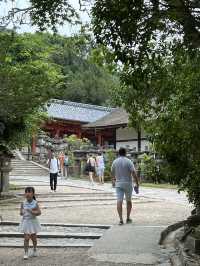NARA, JAPAN: MY UNFORGETTABLE DAY AMONG DEERS AND TEMPLES 