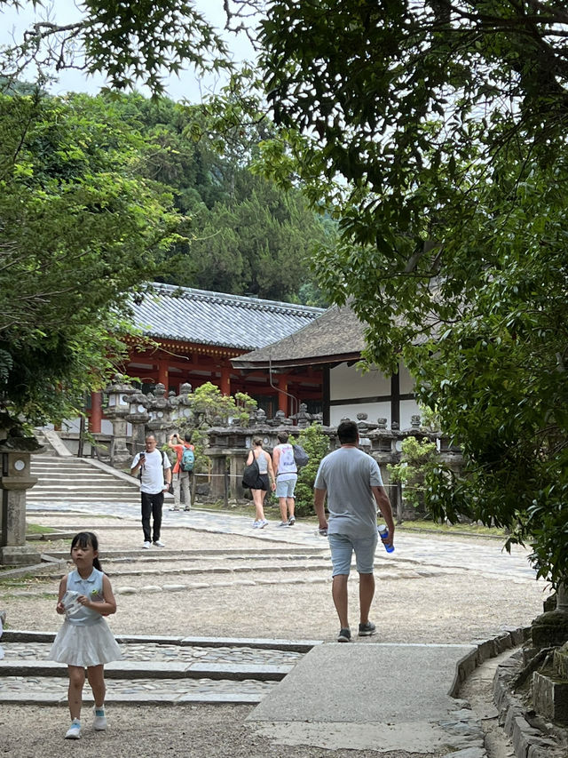 NARA, JAPAN: MY UNFORGETTABLE DAY AMONG DEERS AND TEMPLES 