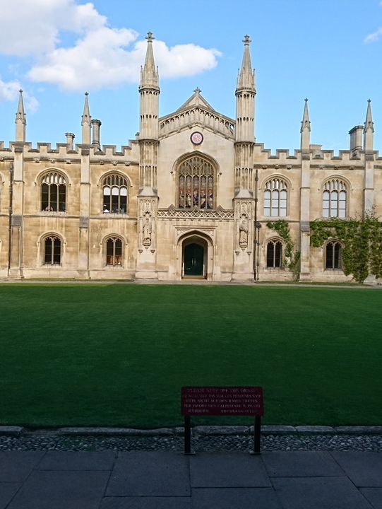 A Perfect Day in Cambridge: Views, Punting, and Scenic Walks 🚣‍♀️🏛️🌿