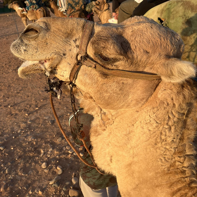 How to spend 5 days in Agadir