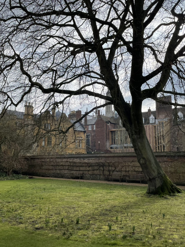 Steeped in academic charm 📖 Emmanuel College, Cambridge!