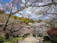 Founder by Tokuichi Daishi