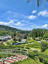 3 Days in Brinchang