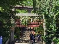 Sendai: Shrines, Samurai, and Surprises Around Every Corner