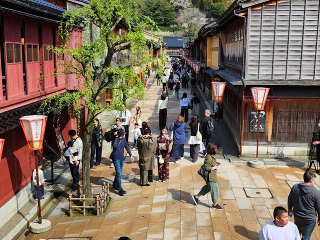 Kanazawa Escape: Blossoms, Kimonos, and Timeless Charm