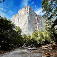 🌄 Explore the Icons of Yosemite National Park 🌲✨