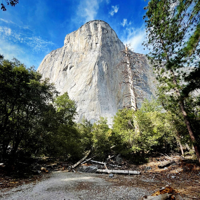 🌄 Explore the Icons of Yosemite National Park 🌲✨