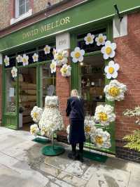 London | Must visit Chelsea Flower Show