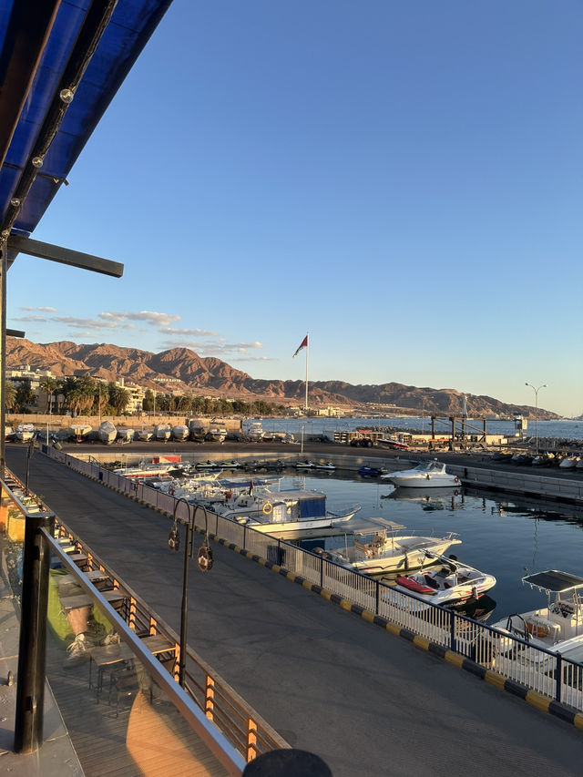 Dinner with a view 
