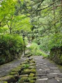 🌿 A Perfect Day in Nikko: Shrines, Nature & Local Sweets