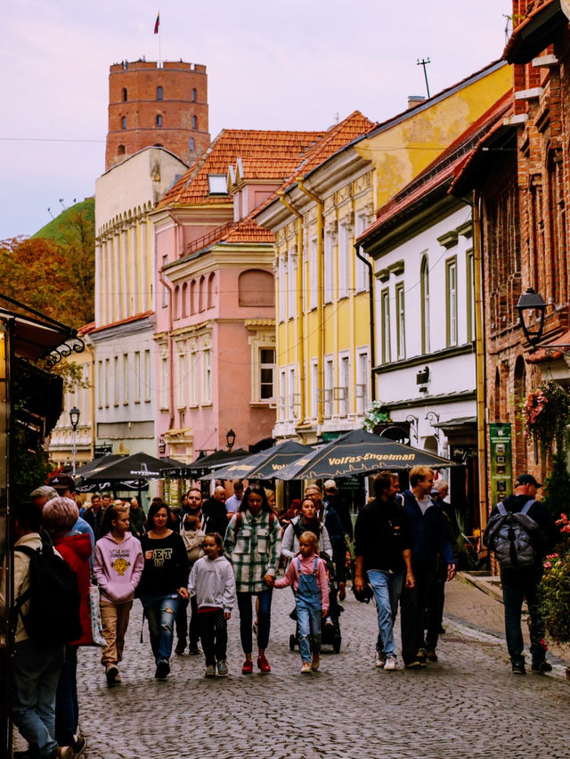 💳 Discover More, Spend Less: The Vilnius Pass 🇱🇹✨