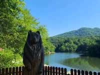 Bear Lake Transylvania