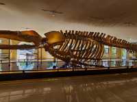 A Fascinating Visit to the Oceanographic Museum in Nha Trang